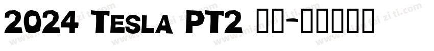 2024 Tesla PT2 留念字体转换